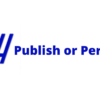 Publish or Perish 8.2 - Image 6